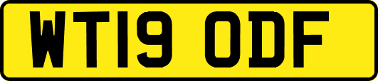WT19ODF