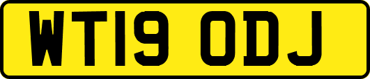 WT19ODJ