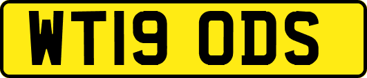WT19ODS