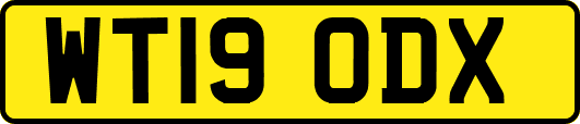 WT19ODX