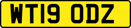 WT19ODZ