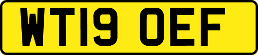 WT19OEF
