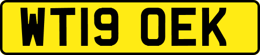 WT19OEK