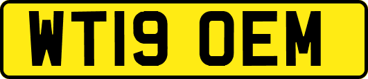 WT19OEM