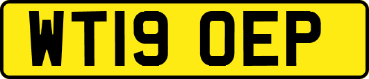 WT19OEP