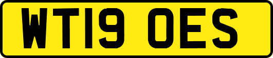 WT19OES