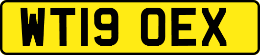 WT19OEX