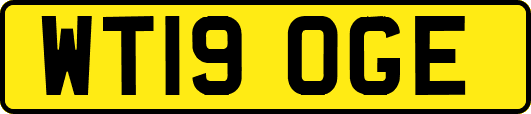 WT19OGE