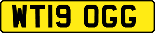 WT19OGG
