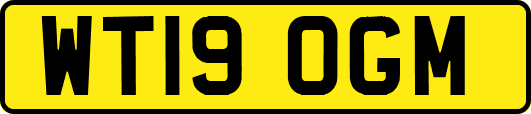 WT19OGM