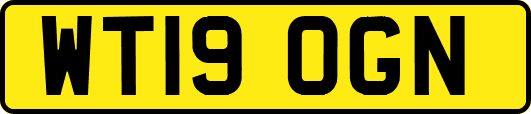 WT19OGN