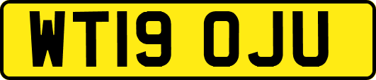 WT19OJU