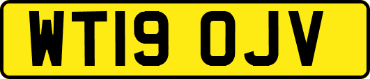WT19OJV
