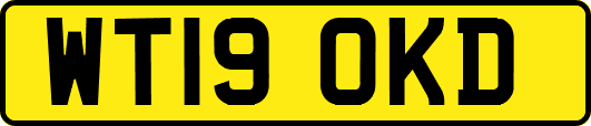 WT19OKD