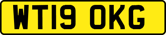 WT19OKG