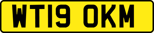 WT19OKM