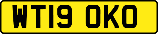 WT19OKO