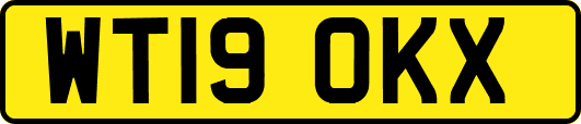 WT19OKX