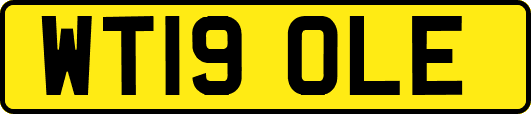WT19OLE