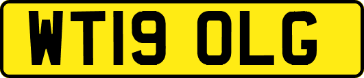 WT19OLG