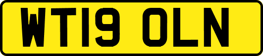 WT19OLN