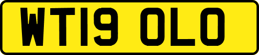 WT19OLO