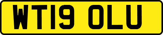 WT19OLU