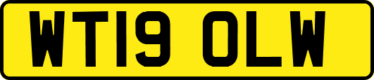 WT19OLW