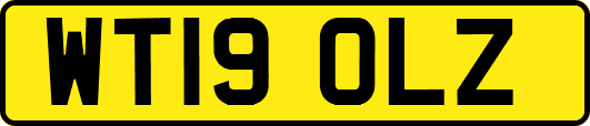 WT19OLZ