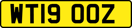 WT19OOZ