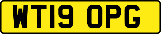 WT19OPG