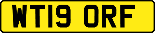 WT19ORF