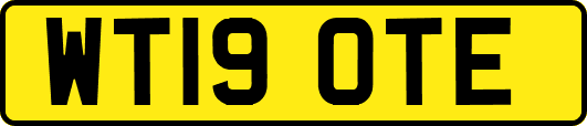 WT19OTE