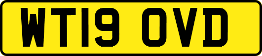 WT19OVD