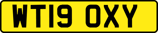 WT19OXY