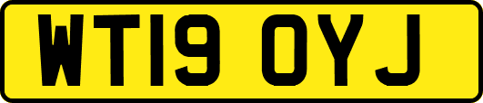 WT19OYJ