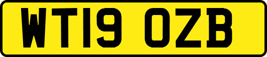 WT19OZB