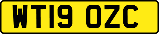 WT19OZC