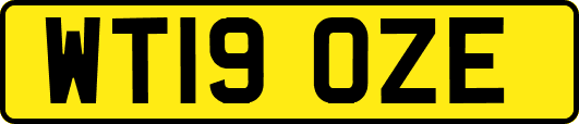WT19OZE