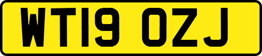 WT19OZJ