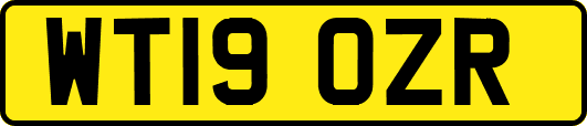 WT19OZR
