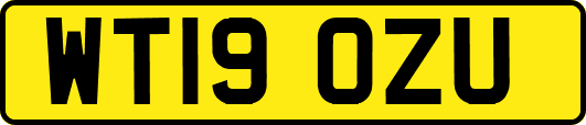 WT19OZU