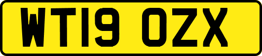 WT19OZX