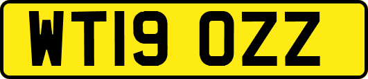 WT19OZZ