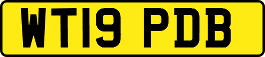 WT19PDB