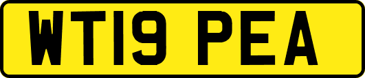 WT19PEA