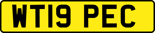 WT19PEC