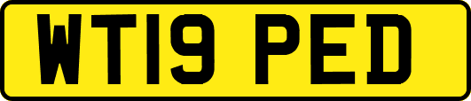 WT19PED