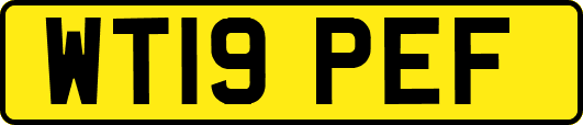 WT19PEF