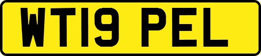 WT19PEL
